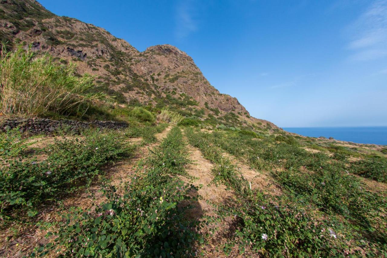 Agriturismo Al Cappero Мальфа Екстер'єр фото